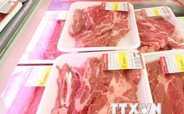 Cho phép nhập thịt bò Pháp đạt yêu cầu vào thị trường Việt Nam