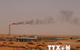 Các quốc gia vùng Vịnh muốn OPEC họp khẩn để ổn định giá dầu