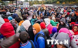 EU "dọa" cắt viện trợ với 3 nước từ chối tiếp nhận người tị nạn
