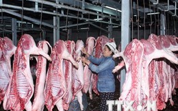 Phát hiện chất cấm trong các mẫu thịt lợn ở tỉnh Đồng Nai