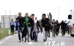 Hungary thiết lập 2 vùng quá cảnh giải quyết đơn xin tị nạn