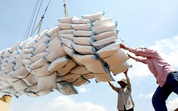 Thị trường gạo Việt Nam đang mất dần