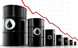 Chính phủ chỉ đạo chủ động dự báo diễn biến giá dầu