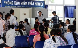 Hai lần chất vấn Thủ tướng về tình trạng cử nhân thất nghiệp