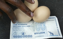 Zimbabwe sắp in tiền mệnh giá tương tự USD