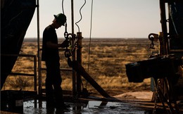 OPEC dự báo “buồn” sau thỏa thuận đóng băng dầu mỏ
