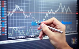 Giá cổ phiếu BII bay mất một nửa sau 7 phiên sàn