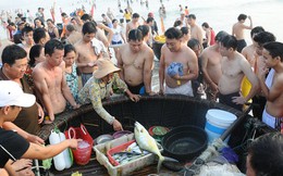Đà Nẵng ra văn bản hỏa tốc đẩy mạnh bán hải sản