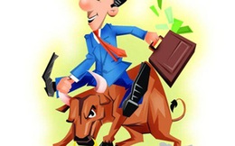 "Cơn điên" của cổ phiếu BII