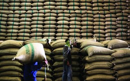 Ấn Độ "soán ngôi" Thái, Việt Nam xếp thứ 3 xuất khẩu gạo
