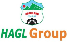 Hoàng Anh Gia Lai vẫn đứng thứ 16 danh sách thương hiệu giá trị nhất Việt Nam