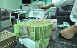 Yêu cầu Vietinbank, BIDV trả cổ tức bằng tiền: Chính phủ nên thoái vốn dần tại các ngân hàng