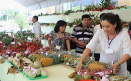 Trái cây Việt rộng đường xuất khẩu