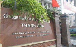 Kỷ lục xứ Thanh: Sở NN&PTNT từng có 11 Phó giám đốc