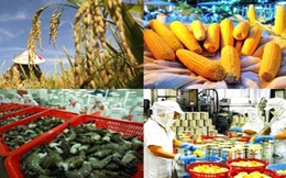 Xuất khẩu nông, lâm, thủy sản ước đạt 31 tỷ USD
