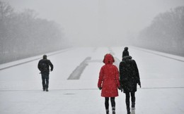 Siêu bão tuyết ‘đổ bộ’ Mỹ: Hơn 7.600 chuyến bay bị hủy