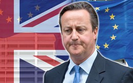 Điểm mặt ứng viên thay thế Thủ tướng Anh David Cameron