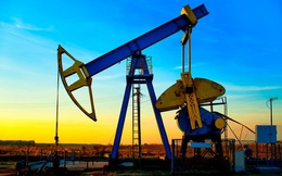 Giá dầu lại giảm sâu vì nhiều tín hiệu xấu