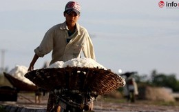 TP.HCM mua 105.000 tấn muối “cứu” diêm dân