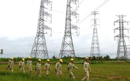 Yêu cầu dừng ngay Đài Vinh danh công trình 500 kV