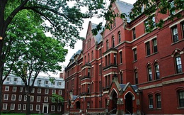 Tuyên bố mở đại học phi lợi nhuận thậm chí có thể mang về siêu lợi nhuận: Cứ nhìn vào Harvard sẽ thấy ngay