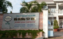 Vụ án Cty mía đường Tây Ninh: Vô tình làm thiệt hại doanh nghiệp tỉnh nhà?