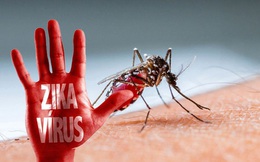 Đồng Nai họp khẩn vì virus Zika xuất hiện