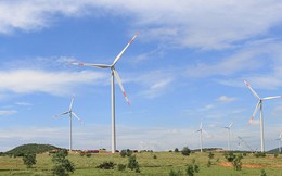 Nhà máy điện gió hơn 1.000 tỉ tại Bình Thuận hoạt động
