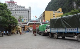 Mỗi ngày XK 4.000 tấn vải quả tươi qua cửa khẩu Tân Thanh