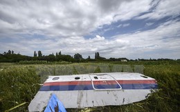 Tổng thống Nga Vladimir Putin bị kiện trong vụ rơi MH17