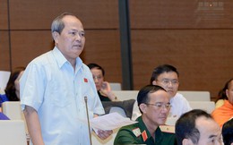 Đại biểu Ngô Văn Minh: Bộ Luật Hình sự vừa rồi là thảm họa lập pháp