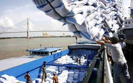 Trung Quốc phê chuẩn 8 đơn vị được phép khử trùng gạo xuất khẩu
