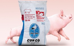 Một công ty chăn lợn “nhỏ xíu” báo lãi hơn 800 tỷ nhờ bán Cám Con Cò