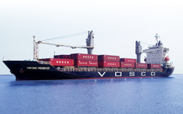 Vosco (VOS): Quý 3 lỗ 110 tỷ đồng, góp phần vào lỗ lũy kế 9 tháng trên 236 tỷ đồng