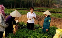 245 cán bộ nguồn ở Hà Nội về làm việc tại các xã, phường