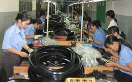 Kinh tế tư nhân - động lực quan trọng của nền kinh tế Việt Nam