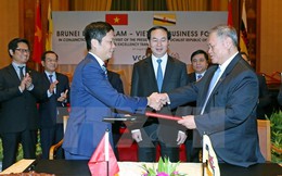 Chủ tịch nước dự Diễn đàn doanh nghiệp Việt Nam-Brunei