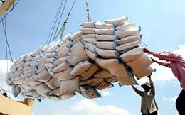 Tham vọng xuất khẩu gạo của Thái Lan