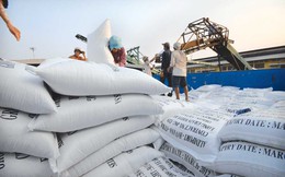 2,8 tỷ USD gạo Thái xả hàng, Bộ Công Thương lập giải pháp ngăn mối đe dọa