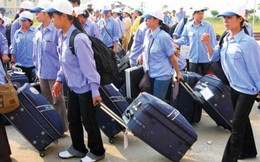 Hơn 10.000 lao động Việt Nam đi làm việc ở nước ngoài
