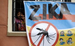 Virus Zika xuất hiện tại Lào, các cửa khẩu ở Quảng Trị đề phòng