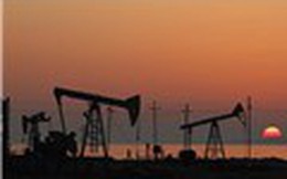 Giá dầu giảm mạnh, gần chạm đáy 2 tuần sau khi IEA hạ dự báo nhu cầu dầu thô
