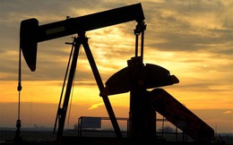 Giới đầu tư bán khống dầu đang trỗi dậy