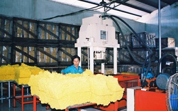 Giá cao su bật tăng, người trồng và doanh nghiệp phấn khích