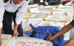 ‘Sau khi đi giám sát, tôi không dám ăn thịt’