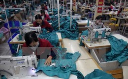 Nhiều doanh nghiệp dệt may đã có đơn hàng đến hết quý 2