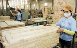 Doanh nghiệp ngành gỗ "khát" nguyên liệu đạt "chuẩn"