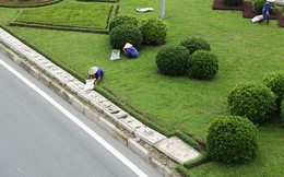 [Video]: Ngừng chi 53 tỷ mỗi năm cho cắt cỏ, đại lộ hiện đại nhất Việt Nam giờ ra sao?