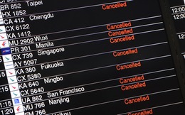 Thị trường chứng khoán Hồng Kông đóng cửa, 420 chuyến bay bị hoãn vì bão Hato