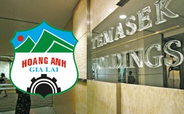 Cổ phiếu HNG tăng nóng, Temasek hoán đổi 200 tỷ trái phiếu HAGL thành cổ phiếu